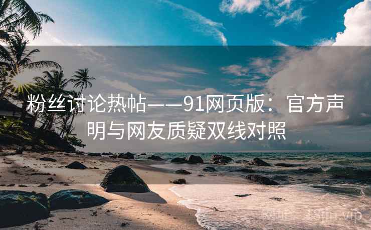 粉丝讨论热帖——91网页版：官方声明与网友质疑双线对照